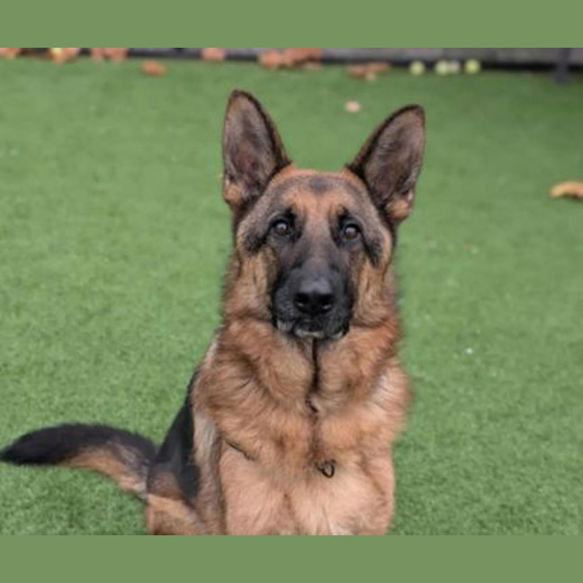 Photo of Zeus