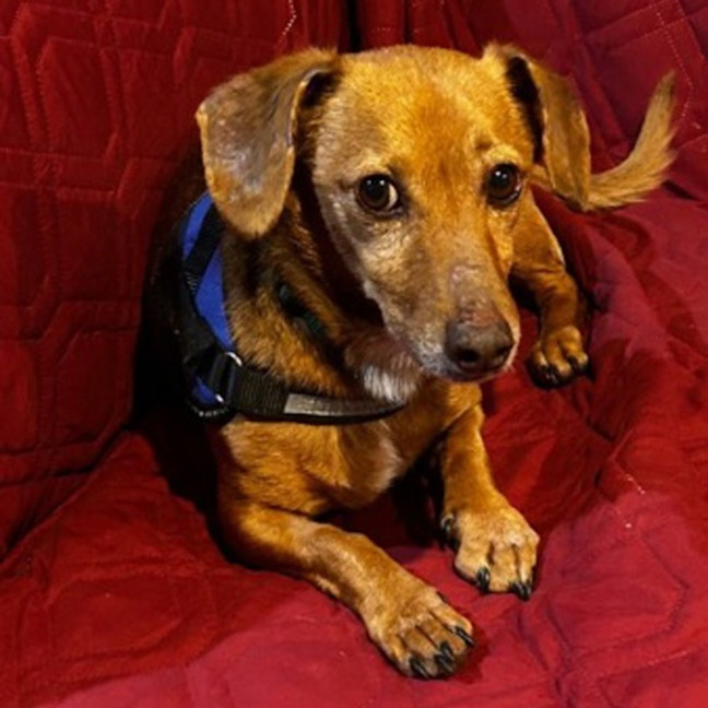 Photo of Solo