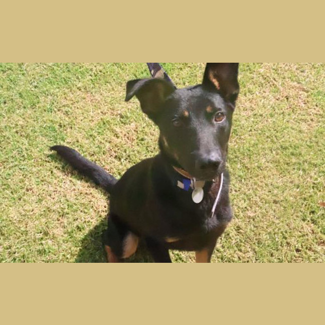 Photo of Rico