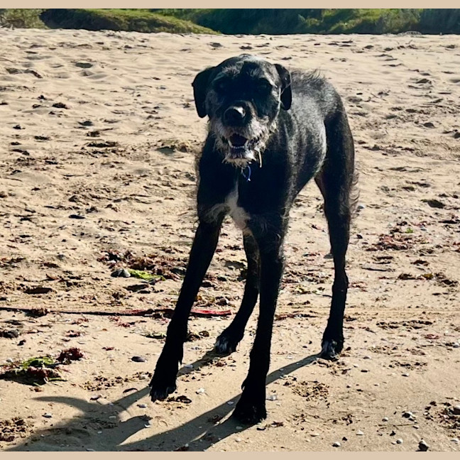 Photo of Betty