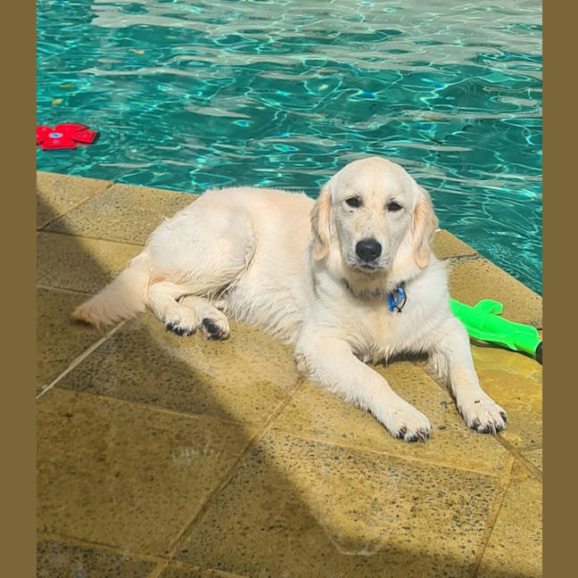 Photo of Lena