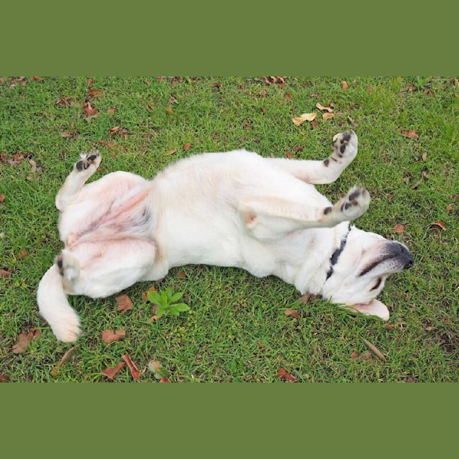 Photo of Heather Now Haven