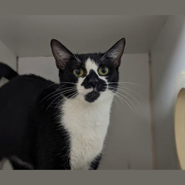 Photo of Dottie