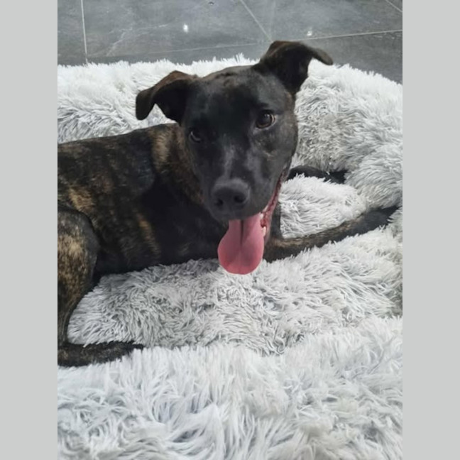 Photo of Maisey