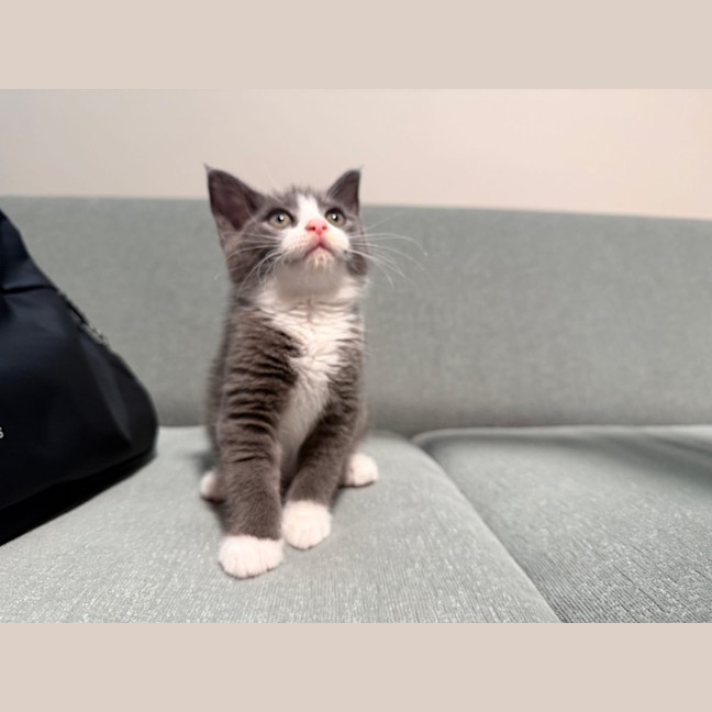 Photo of Sasha