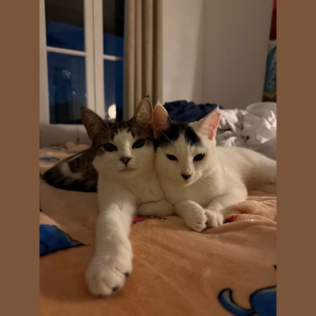 Photo of Penny & Essie 