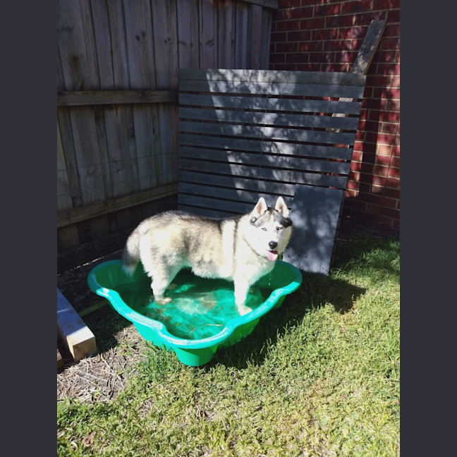 Photo of Sasha 