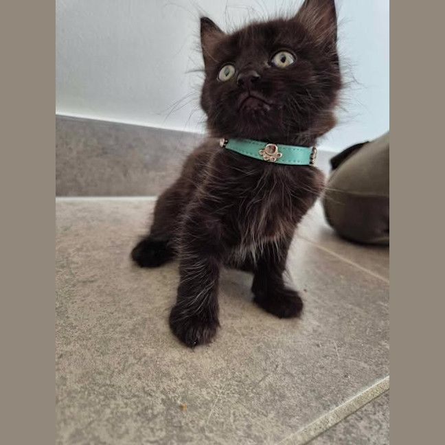 Photo of Spooky