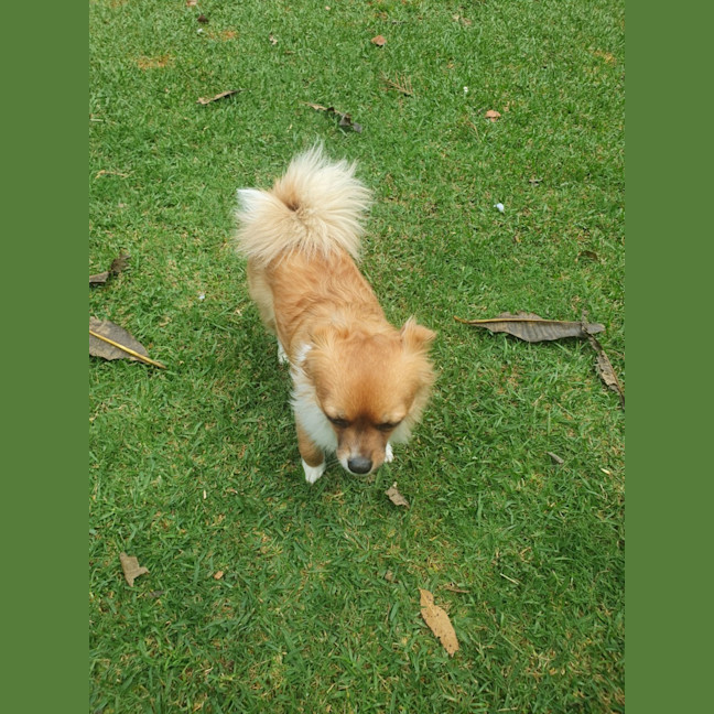 Photo of Lili