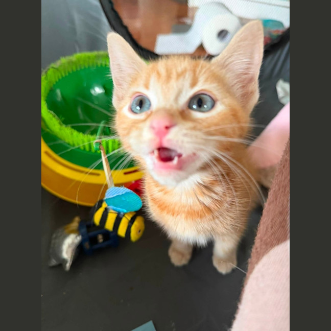 Photo of Fred