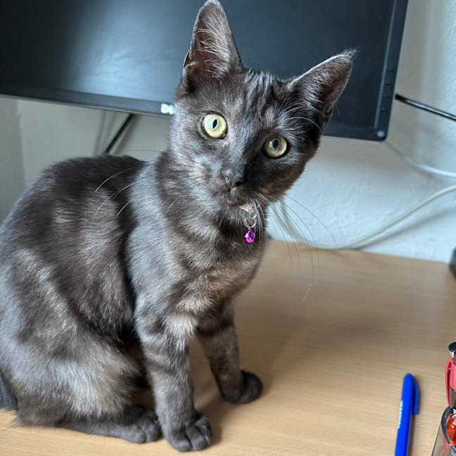 Photo of Lara