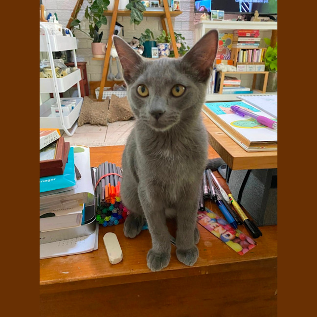 Photo of Mystery Saja