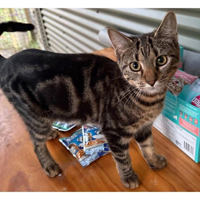 Photo of 11691   Anna