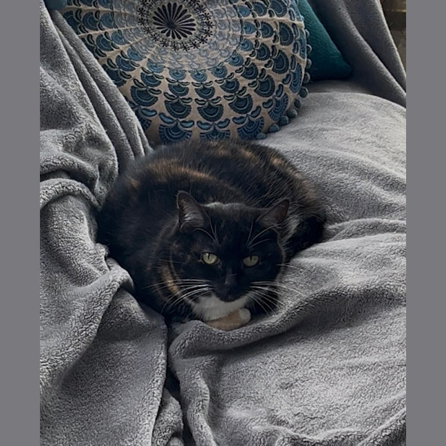 Photo of A Special Little Lady