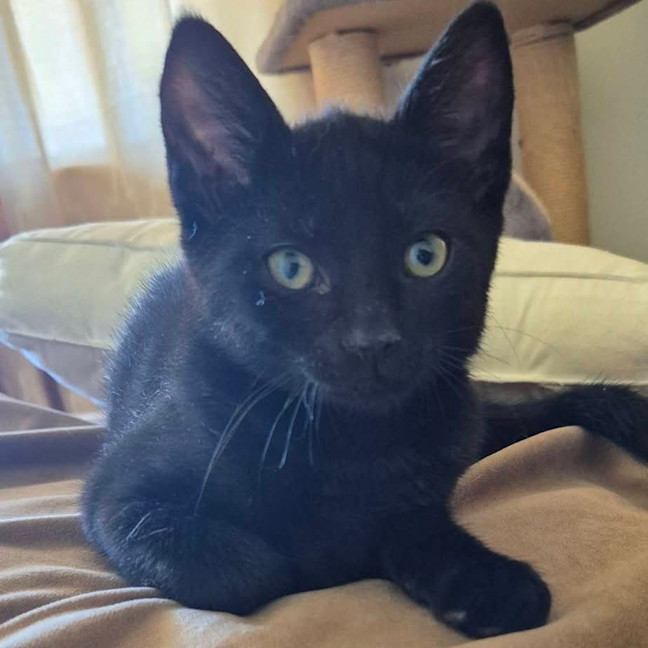 Photo of Pickle Patterson