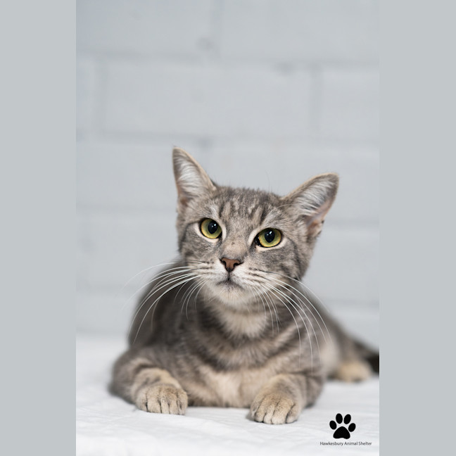 Photo of Molly 