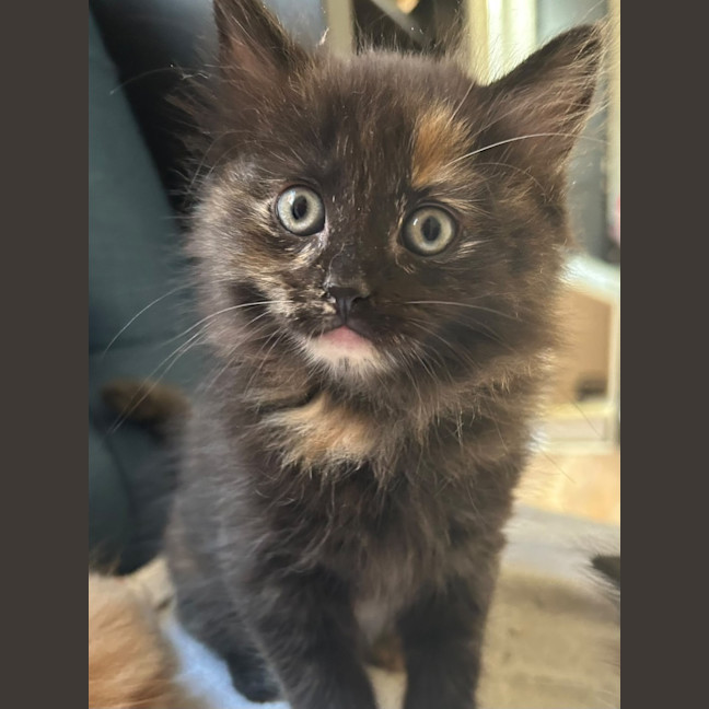 Photo of Cash