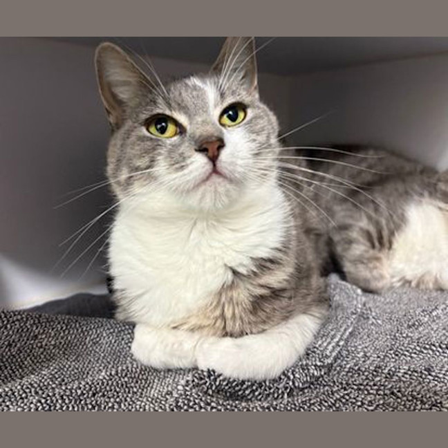 Photo of Scrumptious 