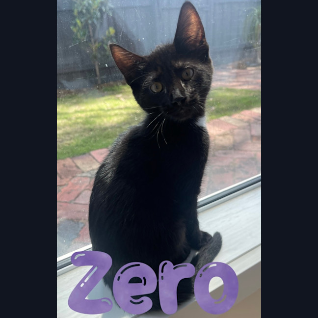 Photo of Zero