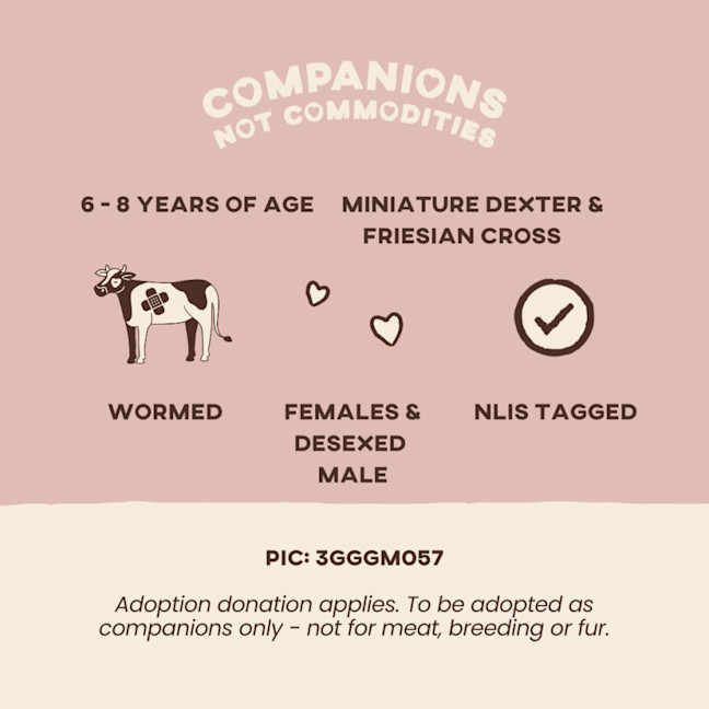 Photo of Limerick, Stamena & River