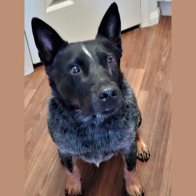 Photo of Blue