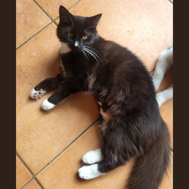 Photo of 💕 Phoebe Buffay 💕