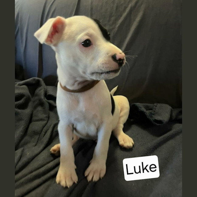 Photo of Luke