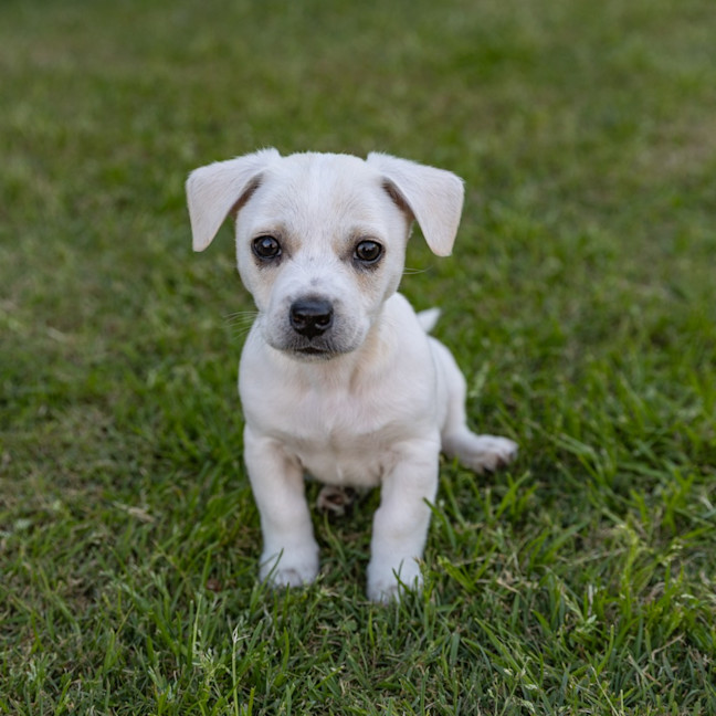 Photo of Cash