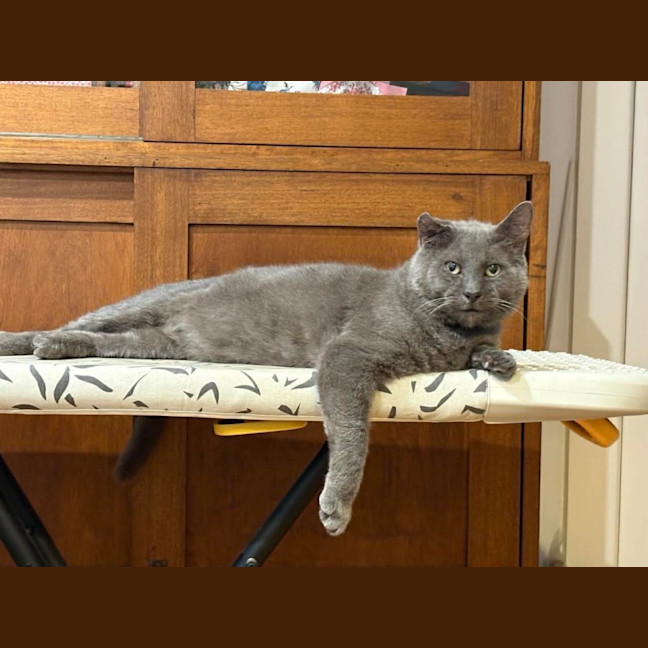 Photo of Max 