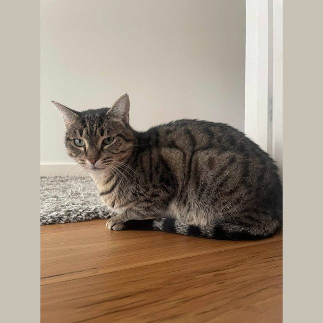 Photo of Suzie   Located In Macleod