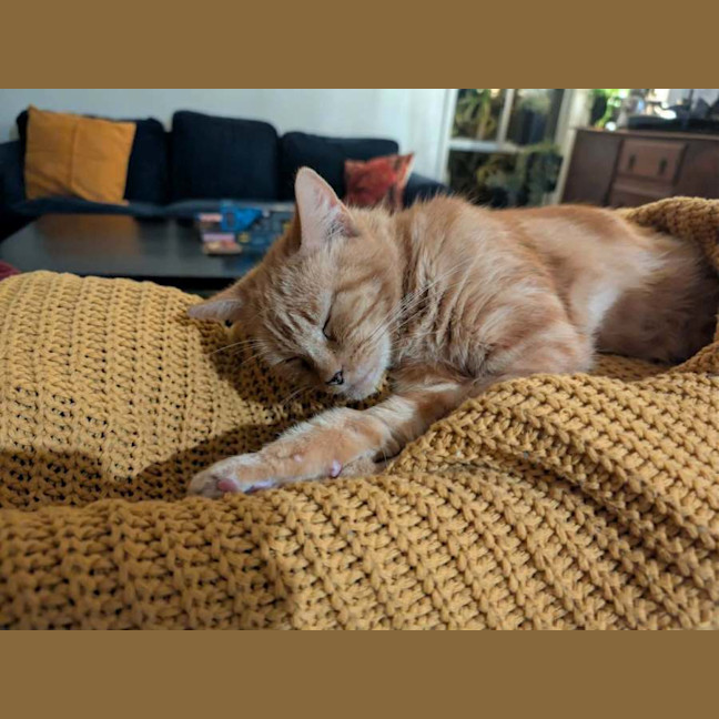 Photo of Peanut