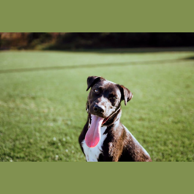 Photo of Toby Kumara