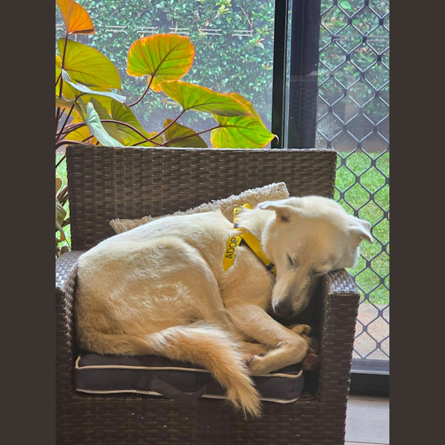 Photo of Freyja