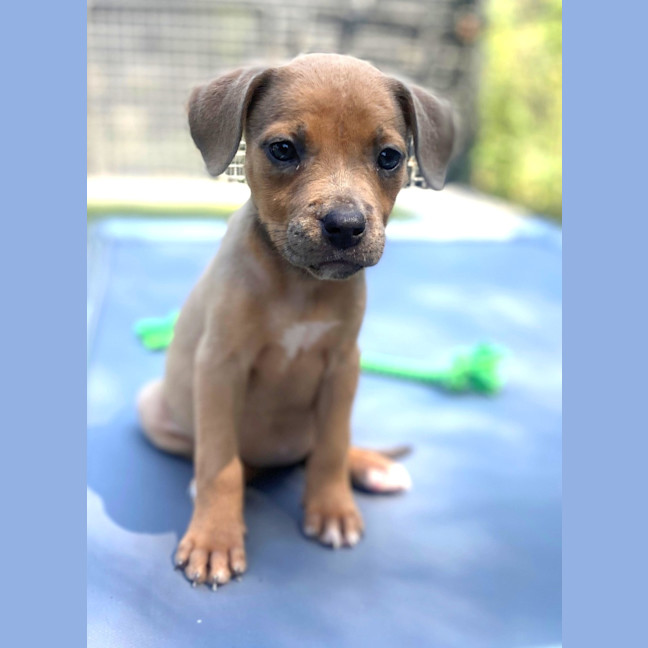 Photo of D1200 Willamina