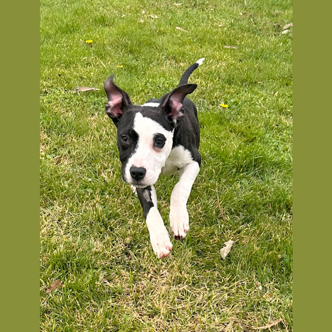Photo of Murphy