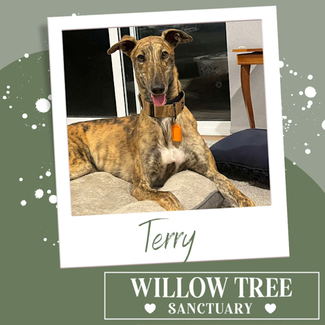 Photo of Terry
