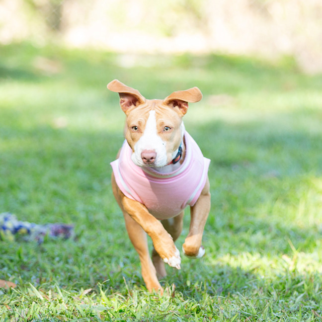 Photo of Bonnie