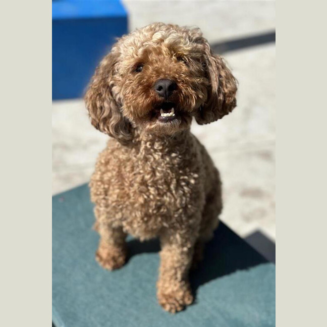 Photo of Billy