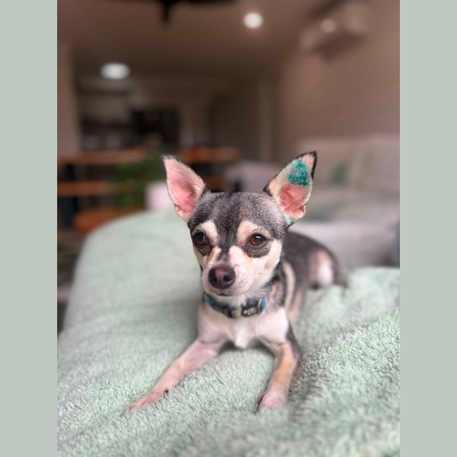 Photo of Pablo