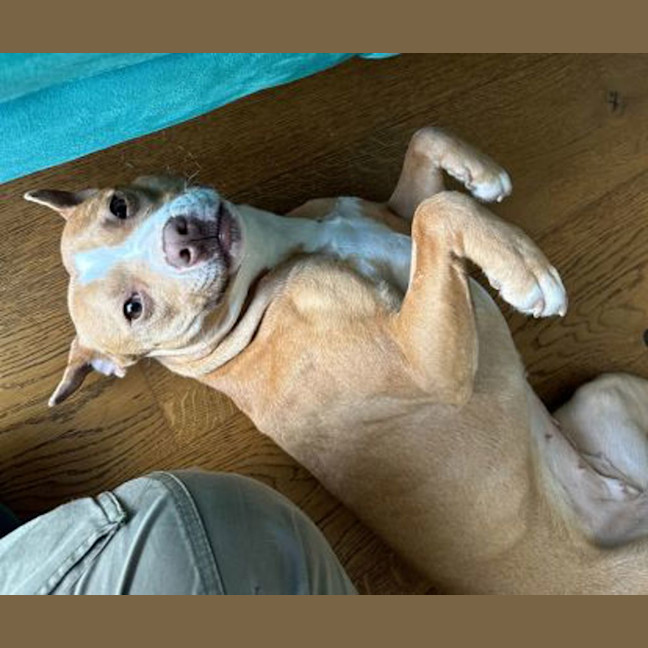 Photo of Zoe