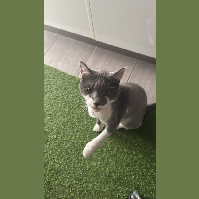 Photo of Principal Flutie 