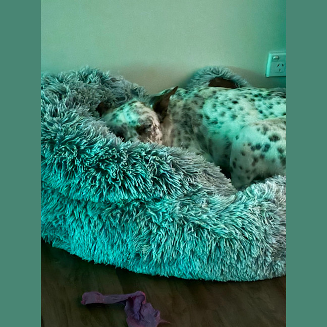 Photo of Andy