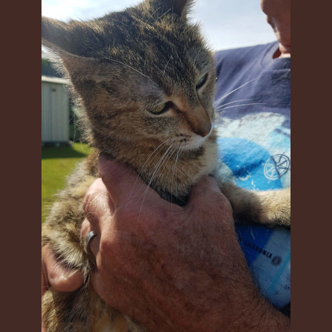 Photo of Regi   Now At Petquarters Rutherford