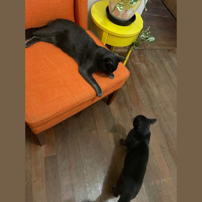 Photo of Smokey