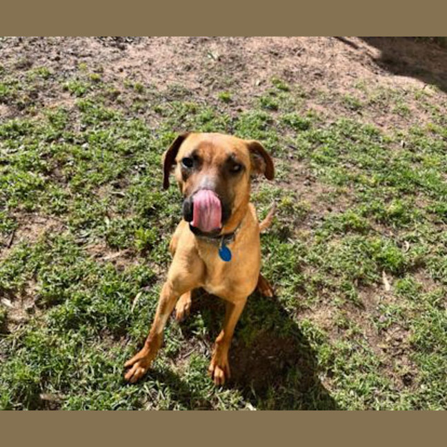 Photo of Finley 