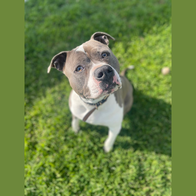 Photo of Buster Rhymes 