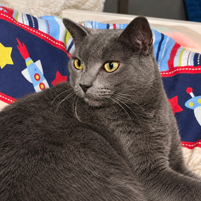 Photo of Stormy