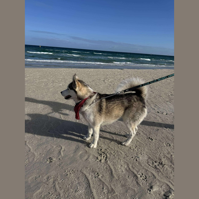 Photo of Karsha (Kay)