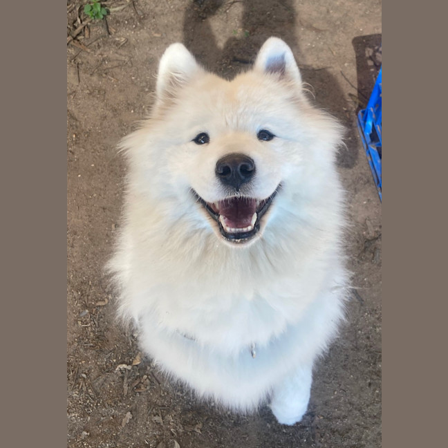 Photo of Mama