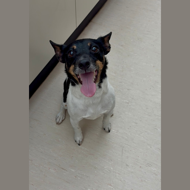 Photo of Jimmy + Sonny